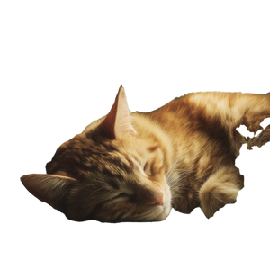 Sleeping Orange Tabby V3 Vinyl Car Decal Sticker – Waterproof & UV-Resistant 6.826666666666667"