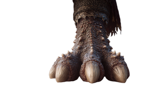 Dungeon Monster Feet Vinyl Car Decal Sticker – Waterproof & UV-Resistant 2.986666666666667"