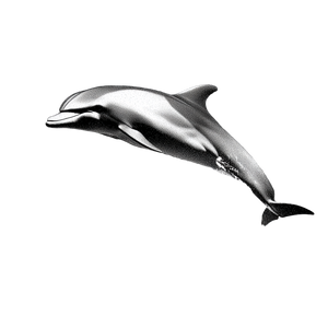 Glitch Dolphin Merch Vinyl Car Decal Sticker – Waterproof & UV-Resistant 6.826666666666667"
