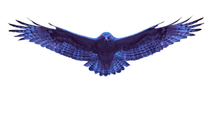 Cyberpunk Goshawk Hovering Vinyl Car Decal Sticker – Waterproof & UV-Resistant 5.4