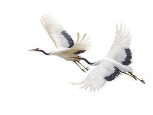 Flying Cranes Illustration V2 Vinyl Car Decal Sticker – Waterproof & UV-Resistant 3.0933333333333333"