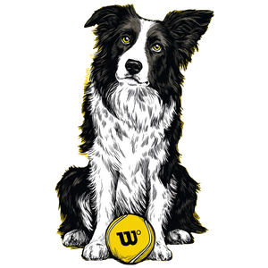 Tennis Ball Collie Vinyl Car Decal Sticker – Waterproof & UV-Resistant 3.4133333333333336"