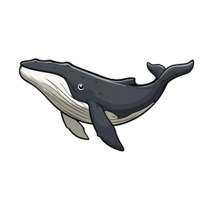 Cartoon Humpback Whale Vinyl Car Decal Sticker – Waterproof & UV-Resistant 6.826666666666667"
