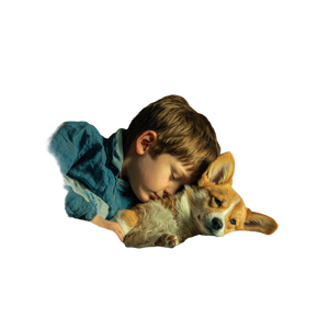 Boy With Corgi Vinyl Car Decal Sticker – Waterproof & UV-Resistant 3.4133333333333336"