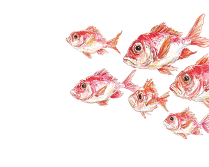 Tropical Fish Group Vinyl Car Decal Sticker – Waterproof & UV-Resistant 3.2"