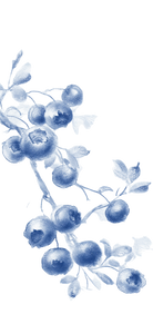 Chinese Ink Blueberry Vinyl Car Decal Sticker – Waterproof & UV-Resistant 5.333333333333333"