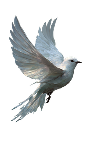 White Bird Artwork Vinyl Car Decal Sticker – Waterproof & UV-Resistant 4.4