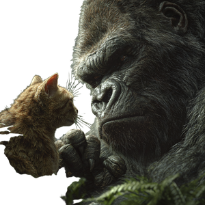 Gorilla Vs Cat Vinyl Car Decal Sticker – Waterproof & UV-Resistant 3.4133333333333336"