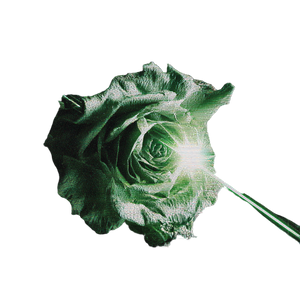 Glowing Glitch Rose Vinyl Car Decal Sticker – Waterproof & UV-Resistant 3.4133333333333336"