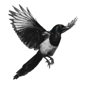 Minimalist Magpie Tattoo Vinyl Car Decal Sticker – Waterproof & UV-Resistant 6.826666666666667"