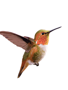 Hummingbird Paint Kit Vinyl Car Decal Sticker – Waterproof & UV-Resistant 4.1066666666666665"