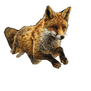 Fox Jumping Through Vinyl Car Decal Sticker – Waterproof & UV-Resistant 3.4133333333333336"