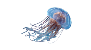 Translucent Jellyfish Render Vinyl Car Decal Sticker – Waterproof & UV-Resistant 5.4
