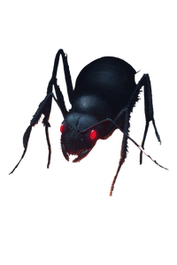 Giant Black Ant Vinyl Car Decal Sticker – Waterproof & UV-Resistant 8.96"