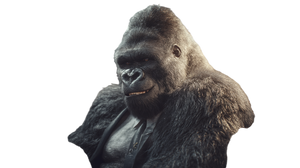 Business Gorilla Chatting Vinyl Car Decal Sticker – Waterproof & UV-Resistant 5.4