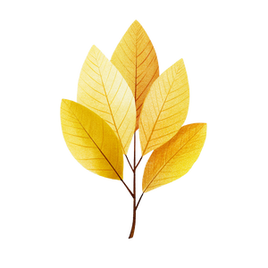 Yellow Leaf Illustration Vinyl Car Decal Sticker – Waterproof & UV-Resistant 3.4133333333333336"