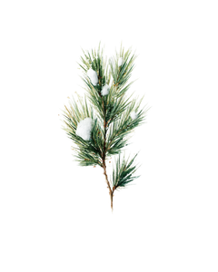 Snowy Pine Twig Vinyl Car Decal Sticker – Waterproof & UV-Resistant 4.0"