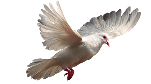 White Dove Flying V37 Vinyl Car Decal Sticker – Waterproof & UV-Resistant 2.72"