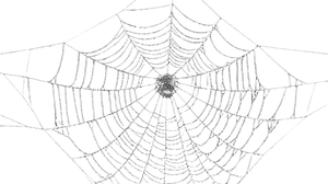 White Spiderweb Vinyl Car Decal Sticker – Waterproof & UV-Resistant 5.4