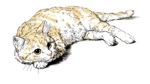 Cute Cat Illustration V23 Vinyl Car Decal Sticker – Waterproof & UV-Resistant 5.4
