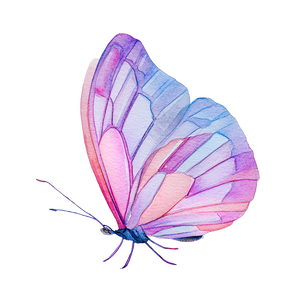 Watercolor Butterfly Profile Vinyl Car Decal Sticker – Waterproof & UV-Resistant 6.826666666666667"