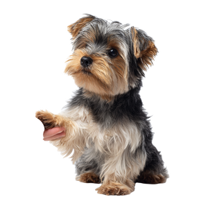 Dog Giving Paw Vinyl Car Decal Sticker – Waterproof & UV-Resistant 3.4133333333333336"