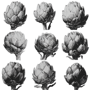 Artichoke Ink Sketches Vinyl Car Decal Sticker – Waterproof & UV-Resistant 6.826666666666667"