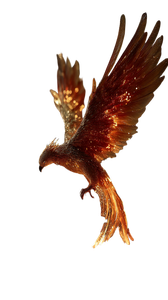 Rising Fiery Phoenix Vinyl Car Decal Sticker – Waterproof & UV-Resistant 9.706666666666667"