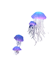 Glowing Jellyfish Swarm V3 Vinyl Car Decal Sticker – Waterproof & UV-Resistant 4.533333333333333"