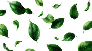 Falling Green Leaves V3 Vinyl Car Decal Sticker – Waterproof & UV-Resistant 2.72"