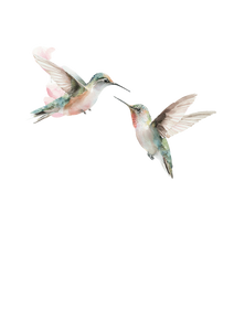 Hummingbirds Among Flowers Vinyl Car Decal Sticker – Waterproof & UV-Resistant 8.746666666666666"