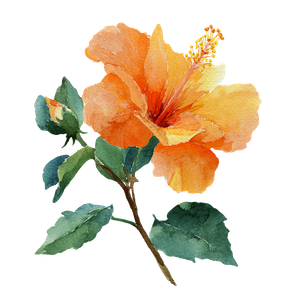 Orange Hibiscus Flower Vinyl Car Decal Sticker – Waterproof & UV-Resistant 3.4133333333333336"