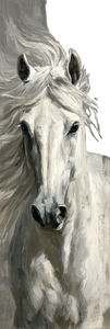 Majestic White Horse V25 Vinyl Car Decal Sticker – Waterproof & UV-Resistant 6.346666666666667"