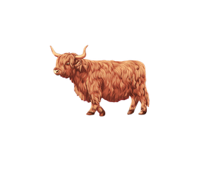 Highland Cow Pattern Vinyl Car Decal Sticker – Waterproof & UV-Resistant 6.613333333333333"