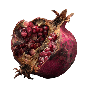 Rotting Pomegranate Vinyl Car Decal Sticker – Waterproof & UV-Resistant 3.4133333333333336"