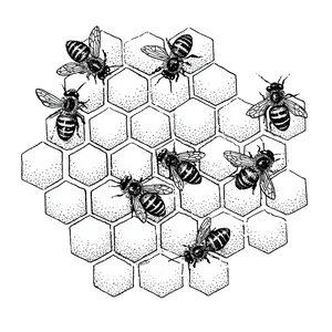 Beehive Line Drawing Vinyl Car Decal Sticker – Waterproof & UV-Resistant 3.4133333333333336"