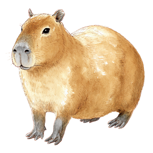 Cute Capybara Illustration Vinyl Car Decal Sticker – Waterproof & UV-Resistant 3.4133333333333336"