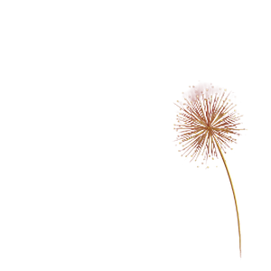 Golden Firework Sky Vinyl Car Decal Sticker – Waterproof & UV-Resistant 6.826666666666667"