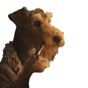 Airedale Applying Makeup Vinyl Car Decal Sticker – Waterproof & UV-Resistant 3.4133333333333336"