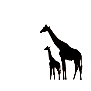 Giraffe Silhouette Duo Vinyl Car Decal Sticker – Waterproof & UV-Resistant 3.4133333333333336"