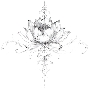 Lotus Flower V14 Vinyl Car Decal Sticker – Waterproof & UV-Resistant 6.826666666666667"
