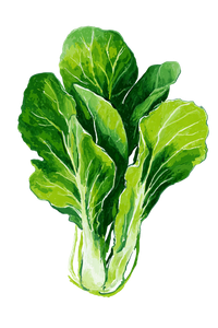 Whimsical Bok Choy Vinyl Car Decal Sticker – Waterproof & UV-Resistant 8.96"