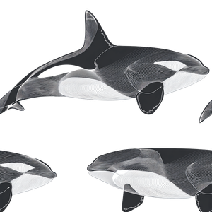 Patterned Orca Vinyl Car Decal Sticker – Waterproof & UV-Resistant 6.826666666666667"