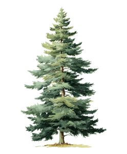 Tall Pine Tree Vinyl Car Decal Sticker – Waterproof & UV-Resistant 8.0"