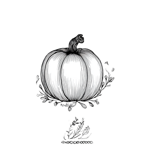 Whimsical Pumpkin Line Art Vinyl Car Decal Sticker – Waterproof & UV-Resistant 6.826666666666667"