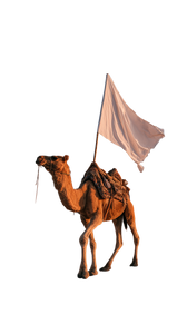 Desert Camel Flag Vinyl Car Decal Sticker – Waterproof & UV-Resistant 4.8533333333333335"