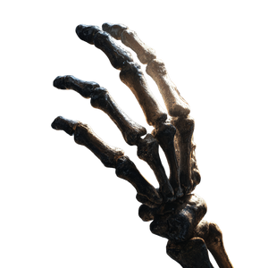Skeleton Hand Holding Vinyl Car Decal Sticker – Waterproof & UV-Resistant 3.4133333333333336" Skeleton Hand Holding Vinyl Car Decal Sticker – Waterproof & UV-Resistant 3.4133333333333336"