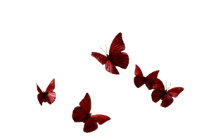 Red Velvet Butterflies Vinyl Car Decal Sticker – Waterproof & UV-Resistant 5.97333333333333