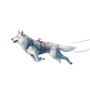 Running Sled Dog Vinyl Car Decal Sticker – Waterproof & UV-Resistant 3.4133333333333336"