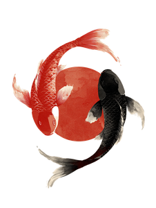 Koi Yin-Yang V2 Vinyl Car Decal Sticker – Waterproof & UV-Resistant 8.213333333333333"